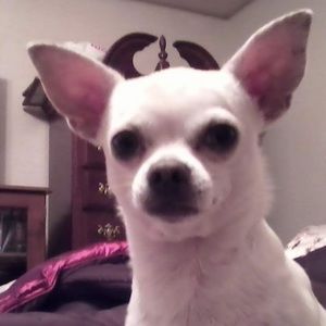 Meet your Posher, Celia